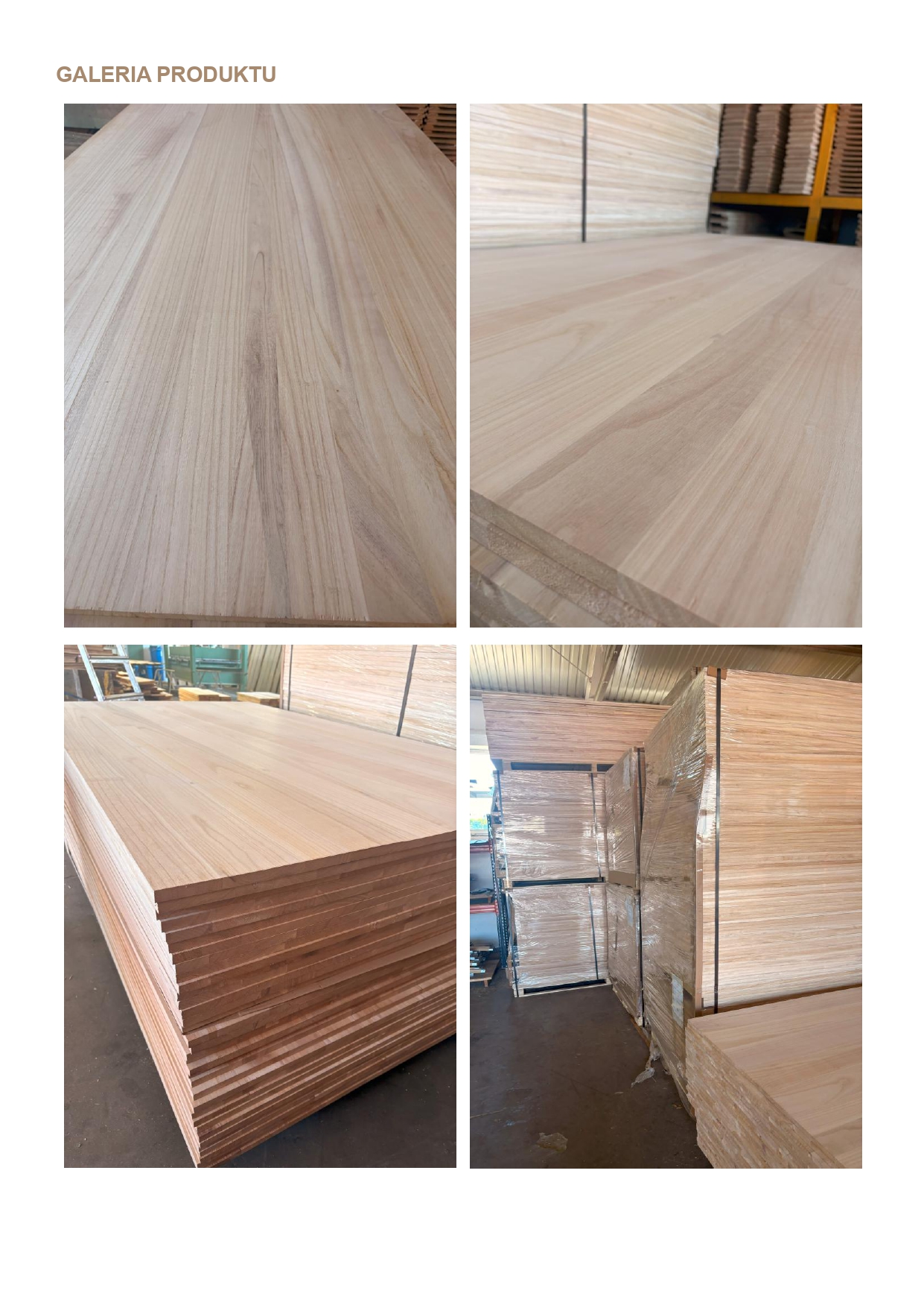Oferta3-paulownia